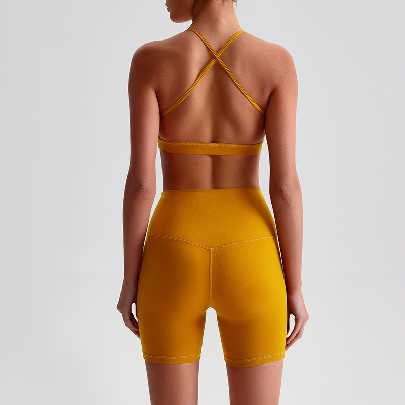 Solid Color High Impact Solid  - Sports Bra High Impact recension och pris